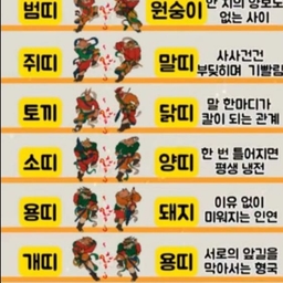 피드에 업로드 된 이미지