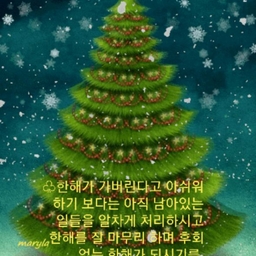 피드에 업로드 된 이미지