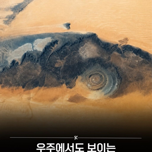 피드 이미지