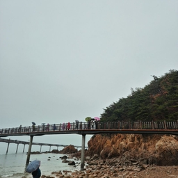 피드에 업로드 된 이미지