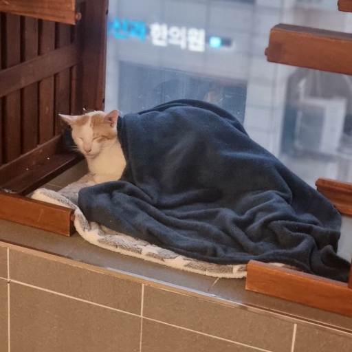 피드 이미지