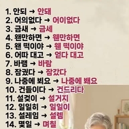 피드에 업로드 된 이미지
