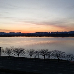 피드에 업로드 된 이미지