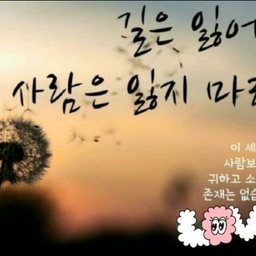 피드에 업로드 된 이미지