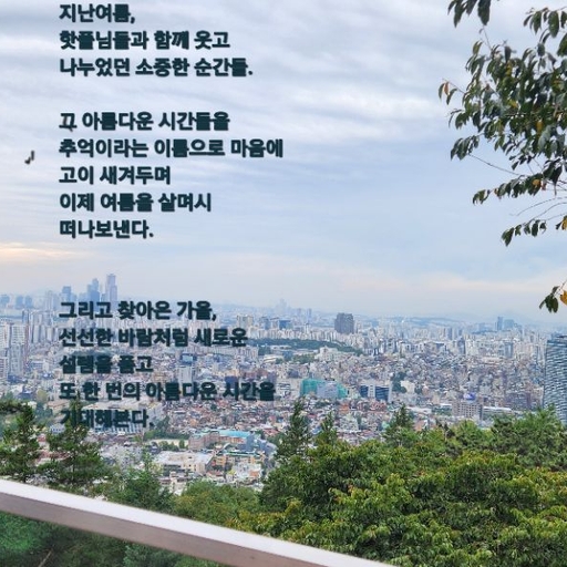 피드 이미지