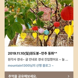 피드에 업로드 된 이미지