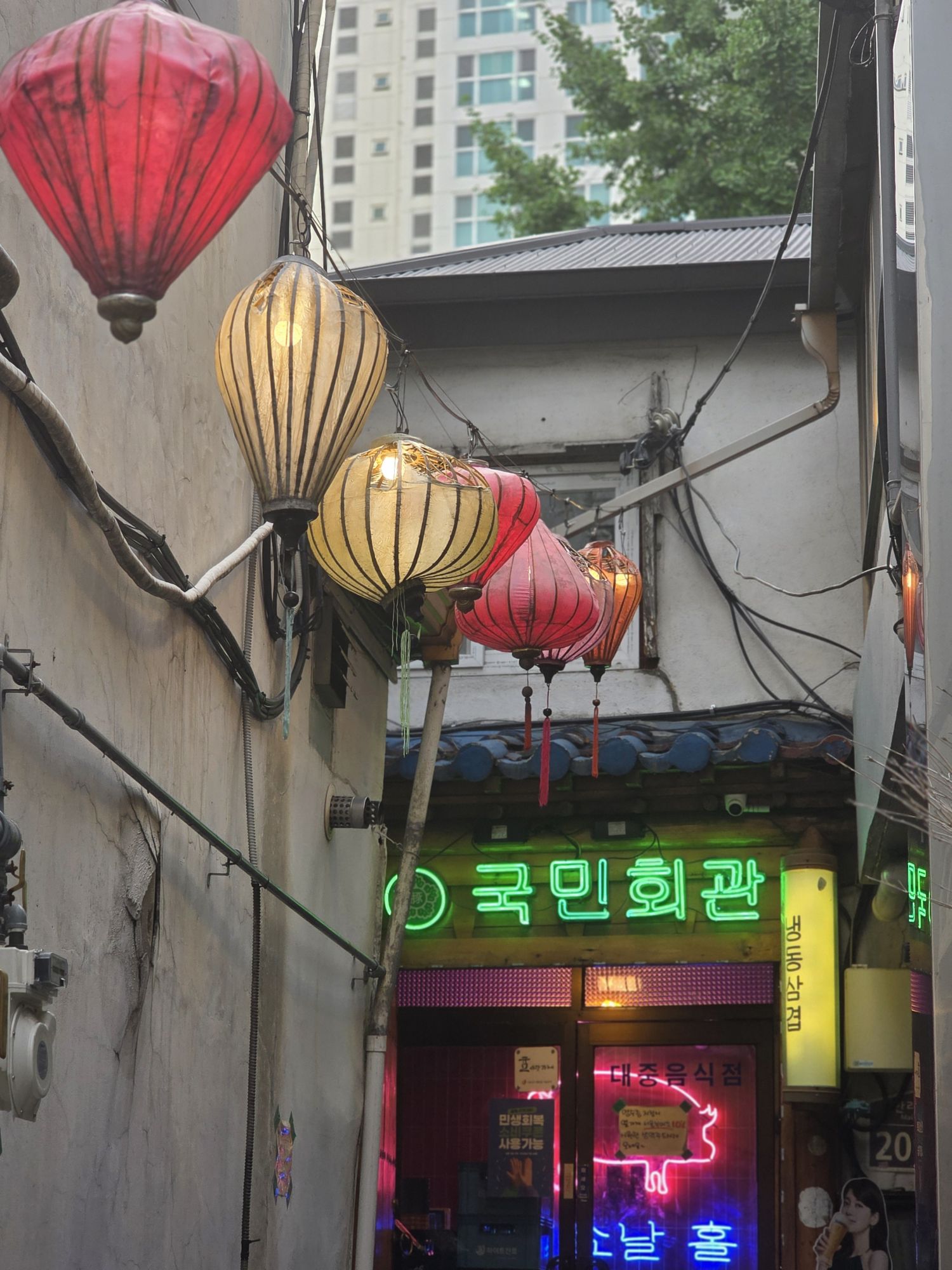 피드 이미지