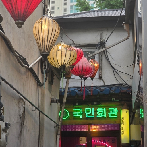 피드 이미지