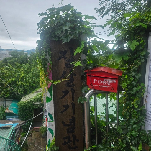 피드 이미지