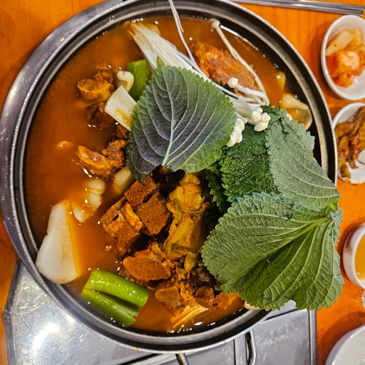 피드 이미지