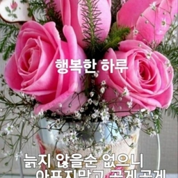 피드에 업로드 된 이미지