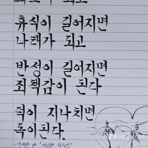 피드 이미지