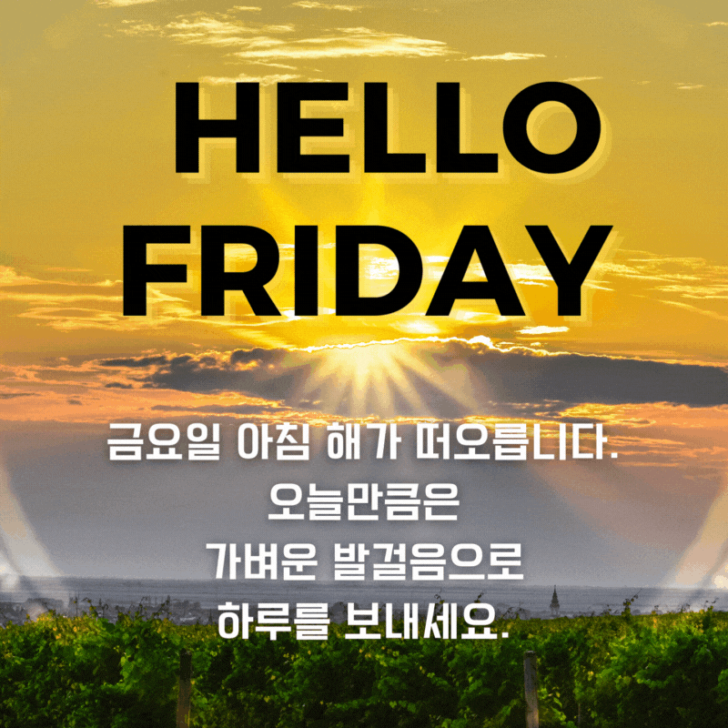 피드에 업로드 된 이미지