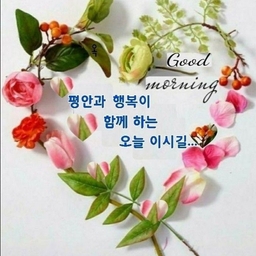 피드에 업로드 된 이미지