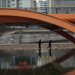피드에 업로드 된 이미지