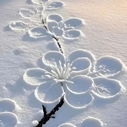 피드에 업로드 된 이미지