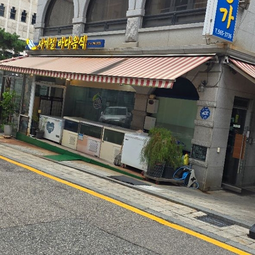 피드 이미지