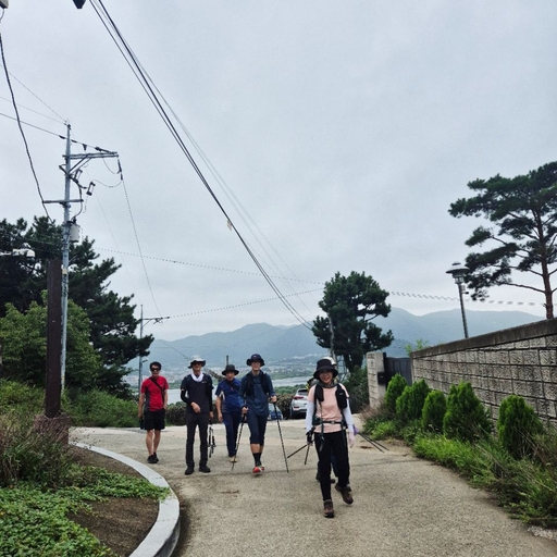 ํผ๋ ์ด๋ฏธ์ง