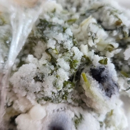 피드에 업로드 된 이미지