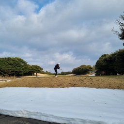 피드에 업로드 된 이미지