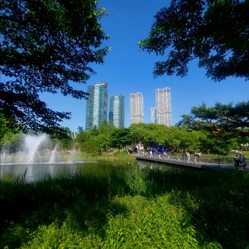 피드 이미지