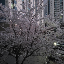 피드에 업로드 된 이미지