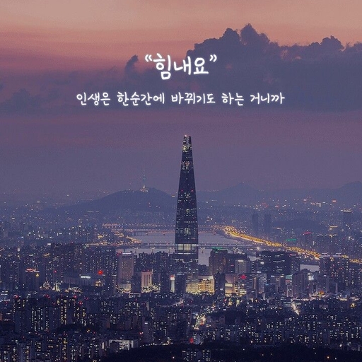 피드 이미지
