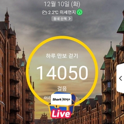 피드에 업로드 된 이미지