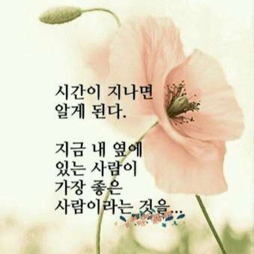 피드 이미지