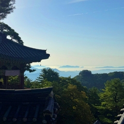피드에 업로드 된 이미지