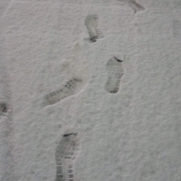 피드에 업로드 된 이미지