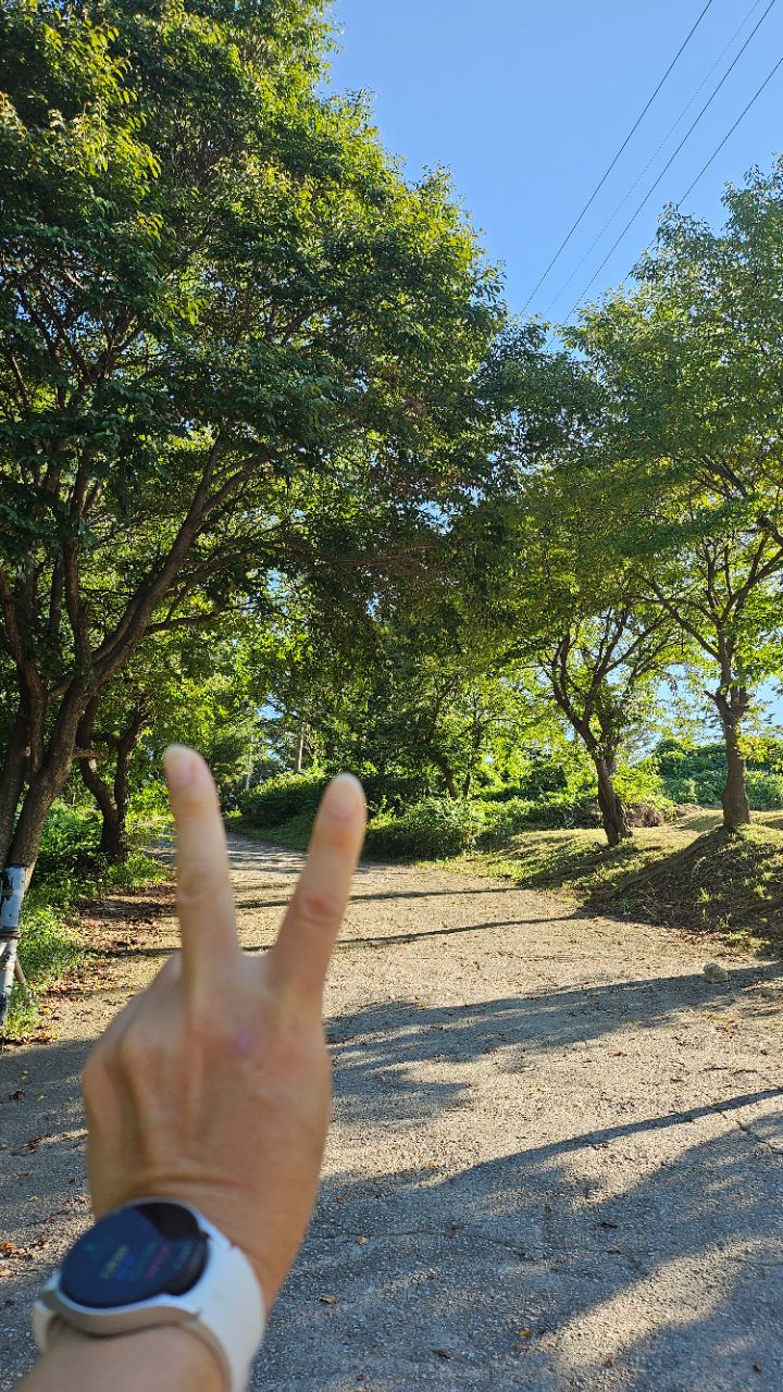 피드 이미지