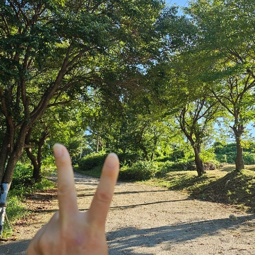 피드 이미지