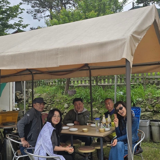 피드 이미지
