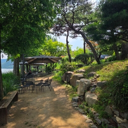 피드에 업로드 된 이미지