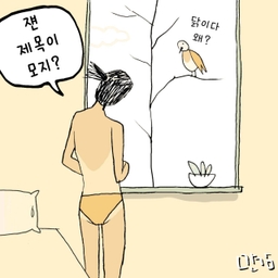 피드에 업로드 된 이미지