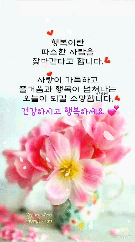 피드 이미지