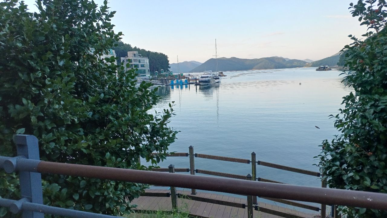 피드에 업로드 된 이미지