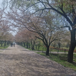 피드에 업로드 된 이미지