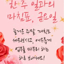 피드에 업로드 된 이미지