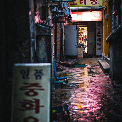 피드 이미지