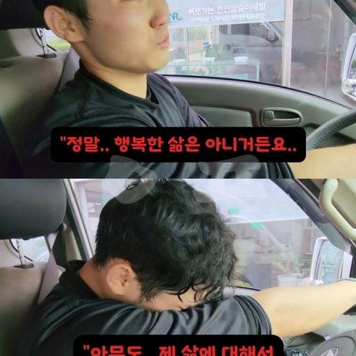 피드 이미지