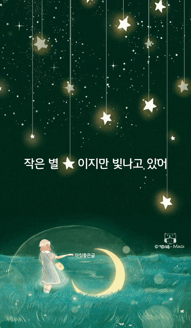 피드 이미지