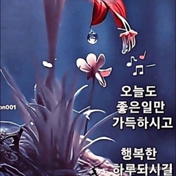 피드에 업로드 된 이미지