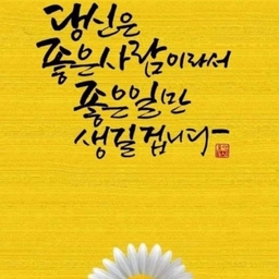 피드에 업로드 된 이미지