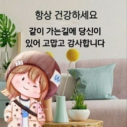피드에 업로드 된 이미지
