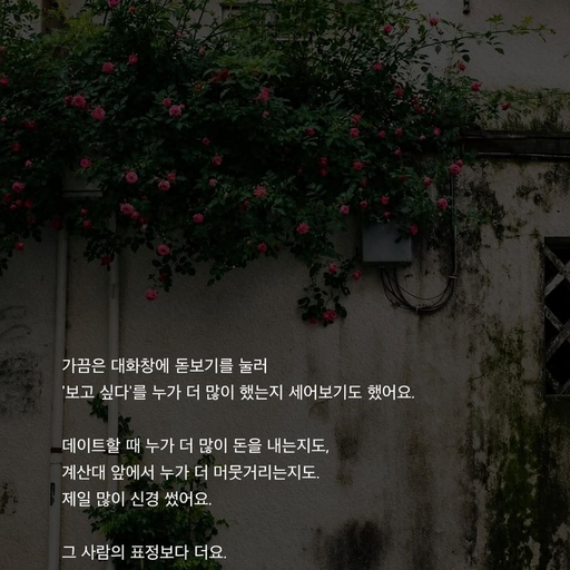 피드 이미지