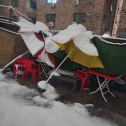 피드에 업로드 된 이미지