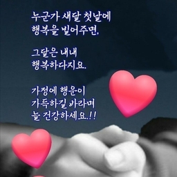 피드에 업로드 된 이미지