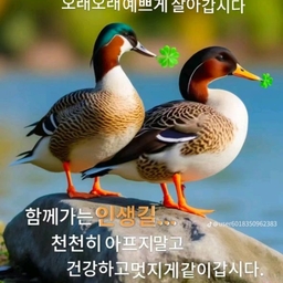 피드에 업로드 된 이미지